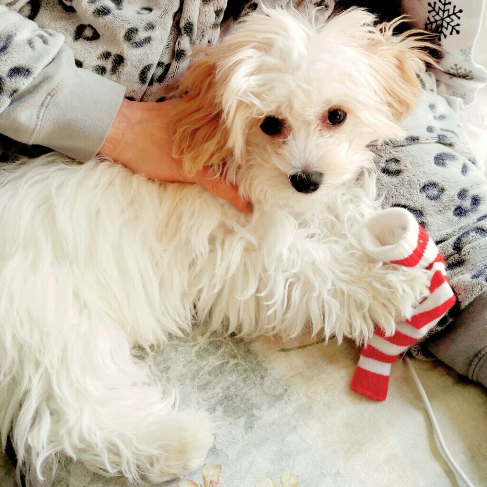 🎉Welcome!!! Thank you for stopping in!🎉 - Picture 4 of 4